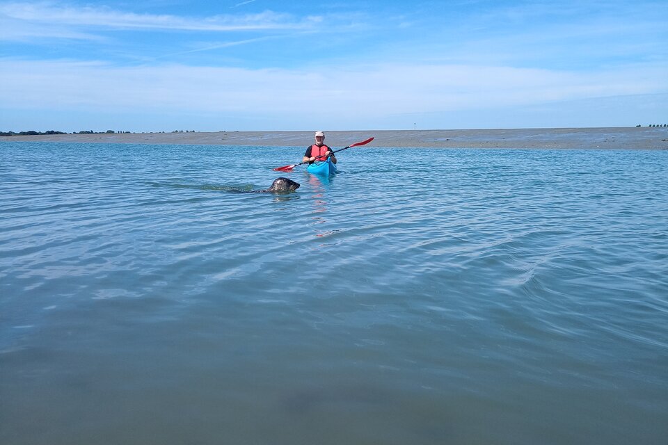 Hayling Island Circumnavigation - photo 4