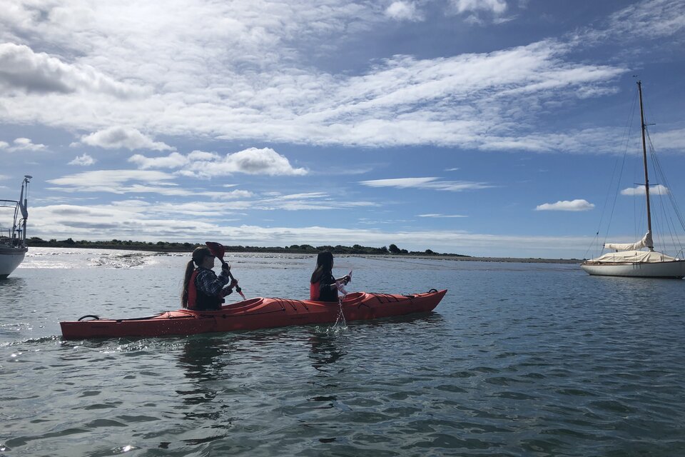 Seal Safari - Full Day Tour - photo 9