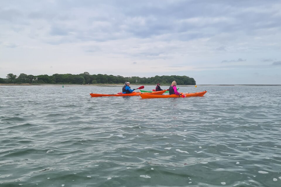 Seal Safari - Full Day Tour - photo 8