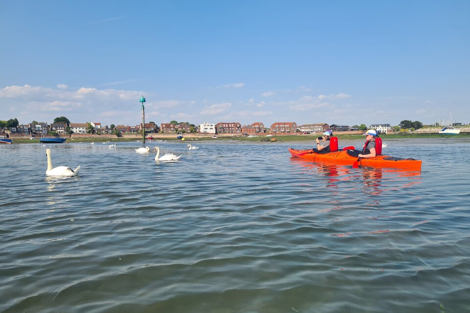 Seal Safari - Full Day Tour - photo 6