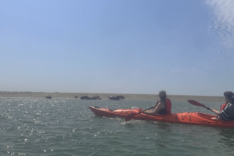Hayling Island Circumnavigation - photo 3