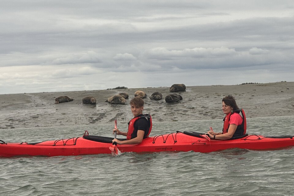 Seal Watching Kayak Tour - photo 6