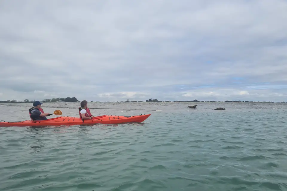 Seal Watching Kayak Tour