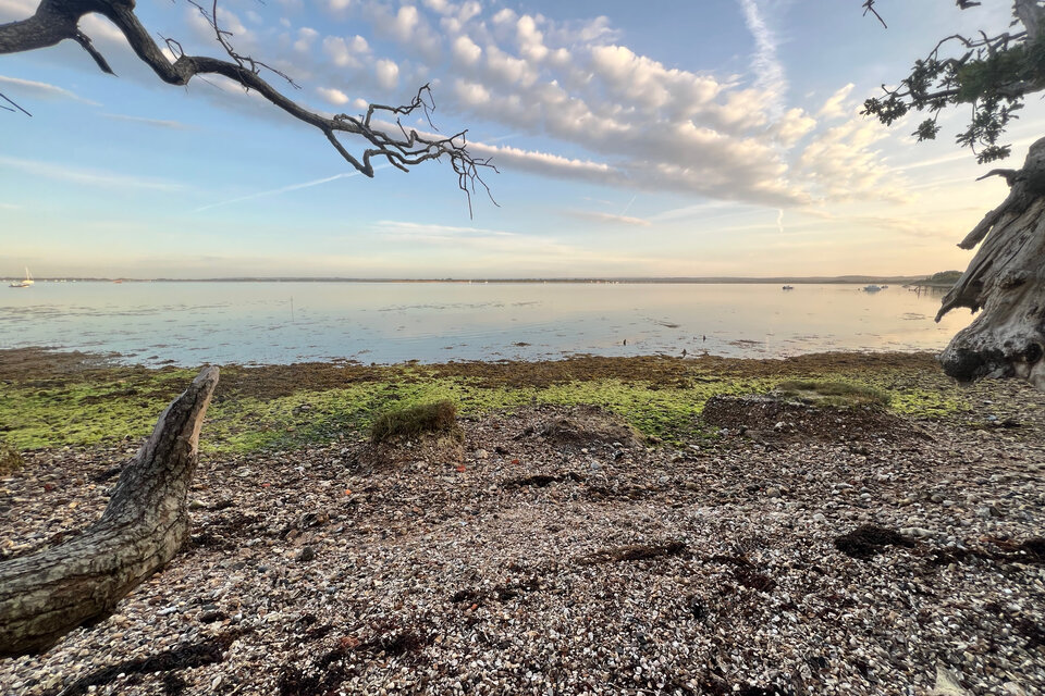Chichester Harbour Kayak Tour - photo 4