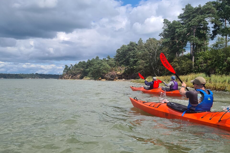 Brownsea Island Kayak Tour - photo 1