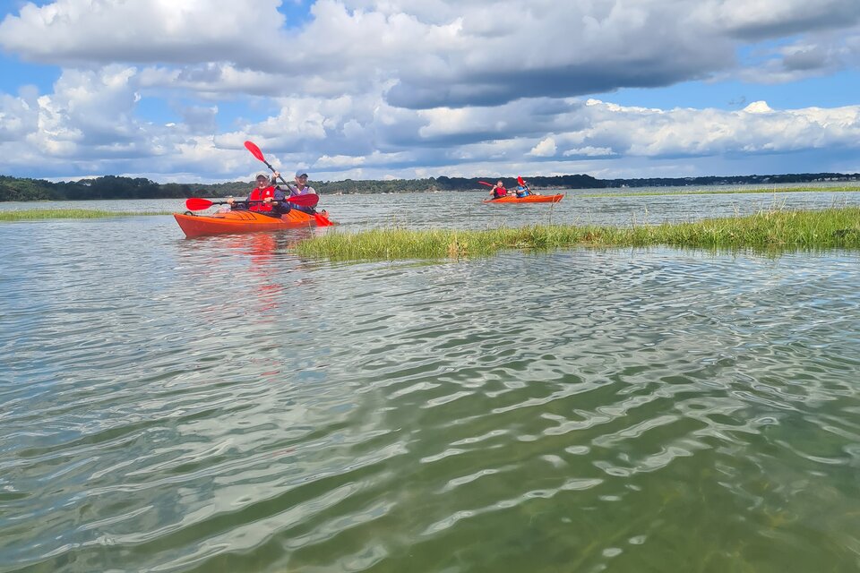 Brownsea Island Kayak Tour - photo 5