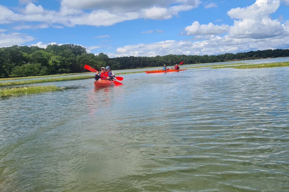 Brownsea Island Kayak Tour - photo 8