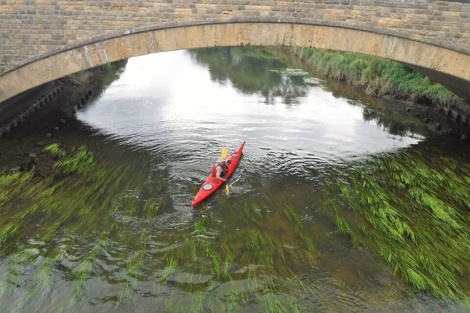 River Arun Tour - Pulborough - photo 13