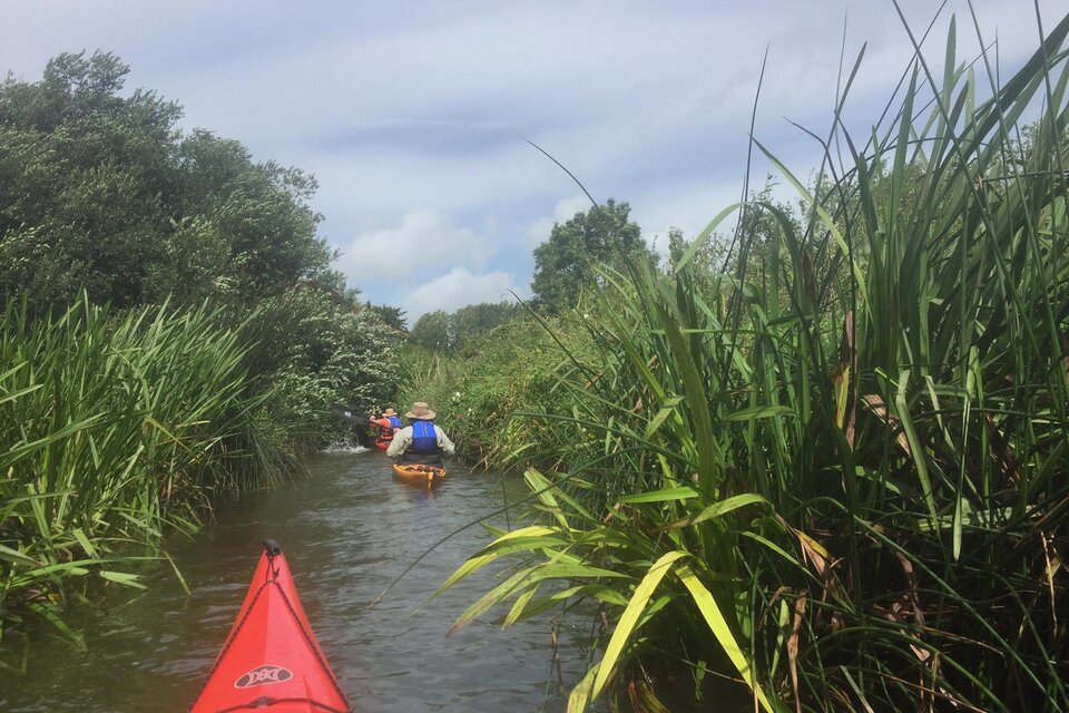 River Arun Tour - Pulborough - photo 14