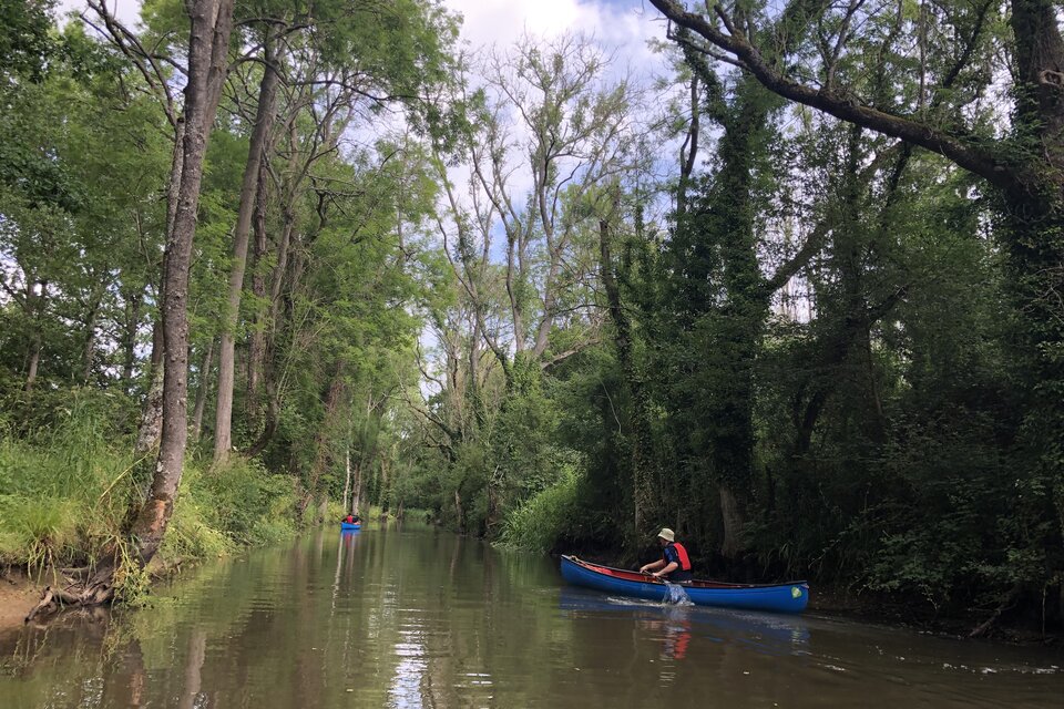 Canoe on Basingstoke Canal - photo 10