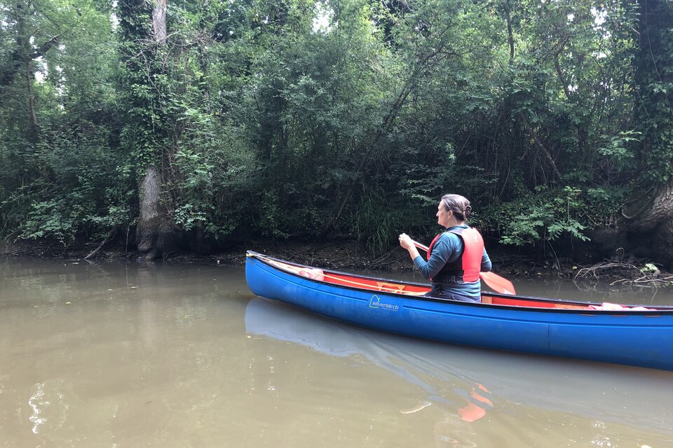 Canoe on Basingstoke Canal - photo 11