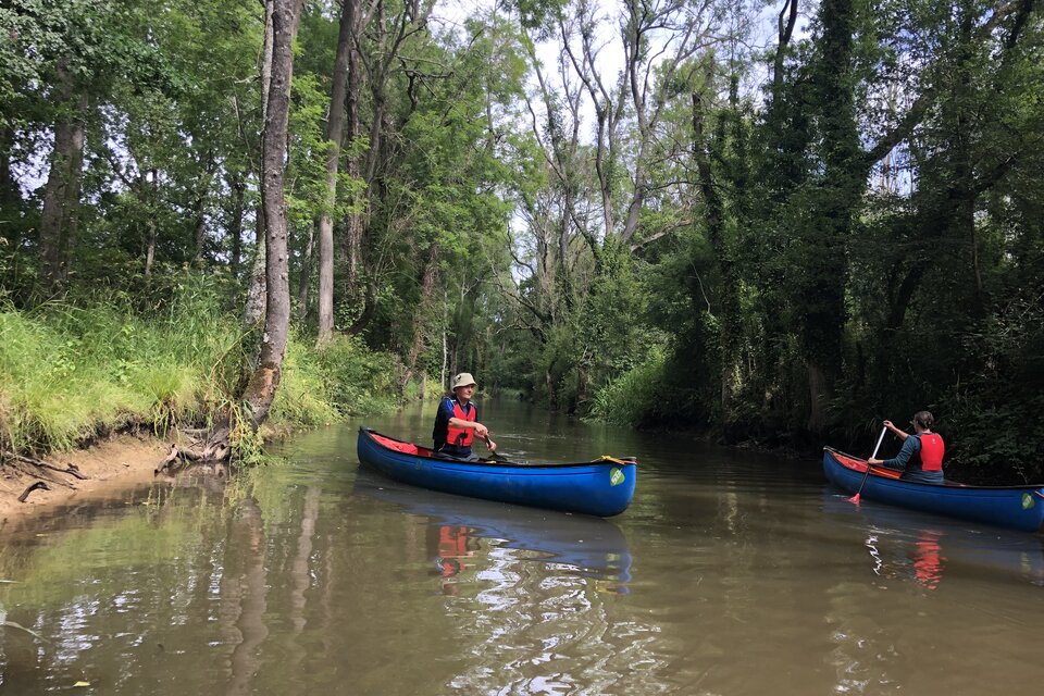 River Arun Kayak Hire, Pulborough - photo 8