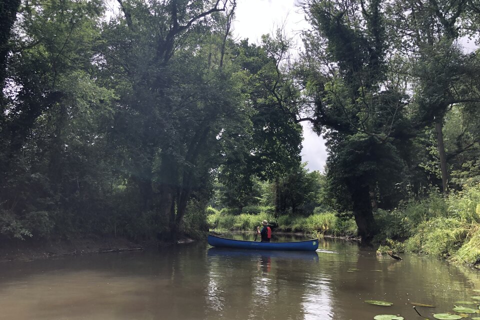Canoe on Basingstoke Canal - photo 13