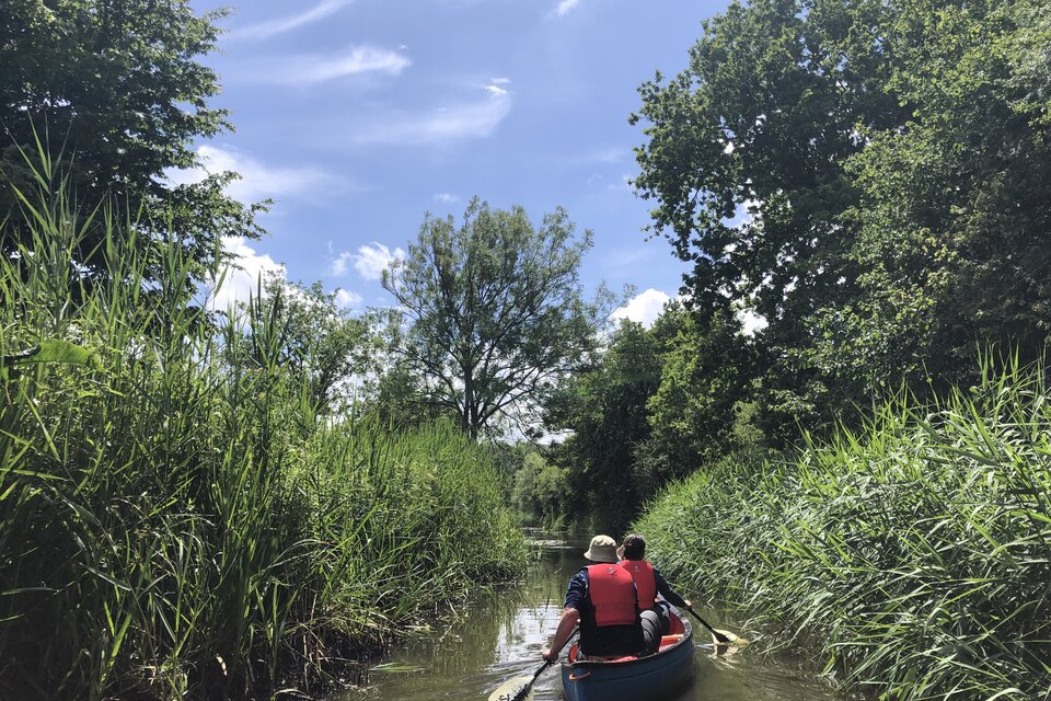 Canoe on Basingstoke Canal - photo 7
