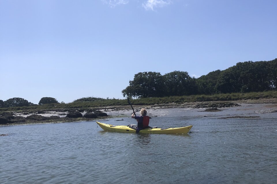 Birdwatch Paddle - photo 6