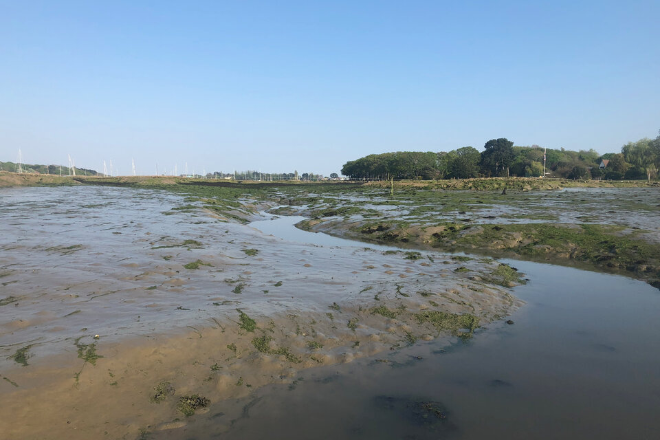 Birdwatch Paddle - photo 4