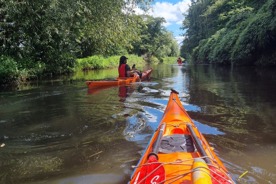 Arundel to Pulborough Kayak Tour - photo 6
