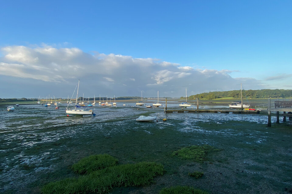 Birdwatch Paddle - photo 5