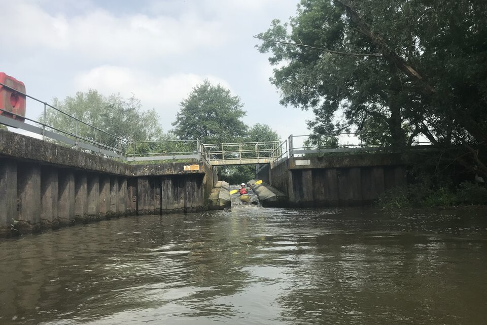 Medway Meander Kayak Adventure