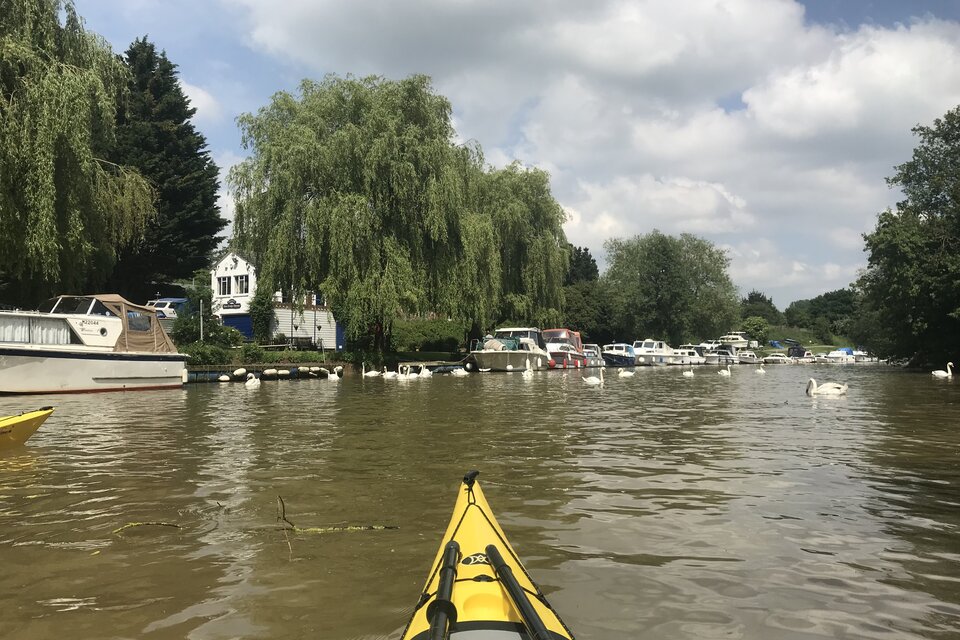 Medway Meander Kayak Adventure
