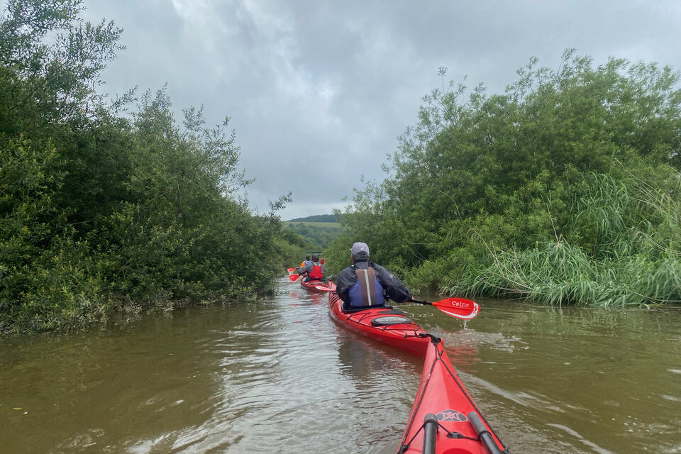 River Arun Tour - Pulborough - photo 5