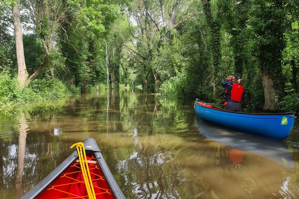 River Arun Kayak Hire, Pulborough - photo 11