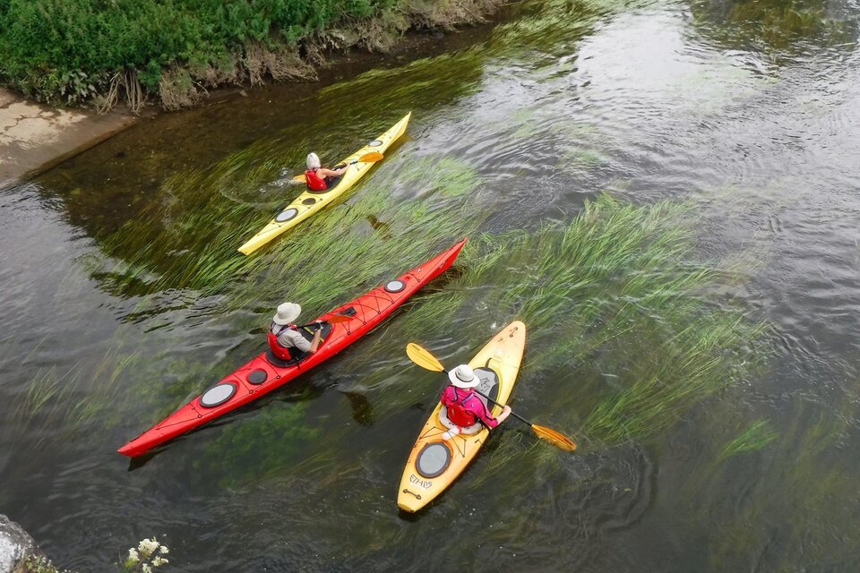 Beginners Kayaking Skills - photo 4