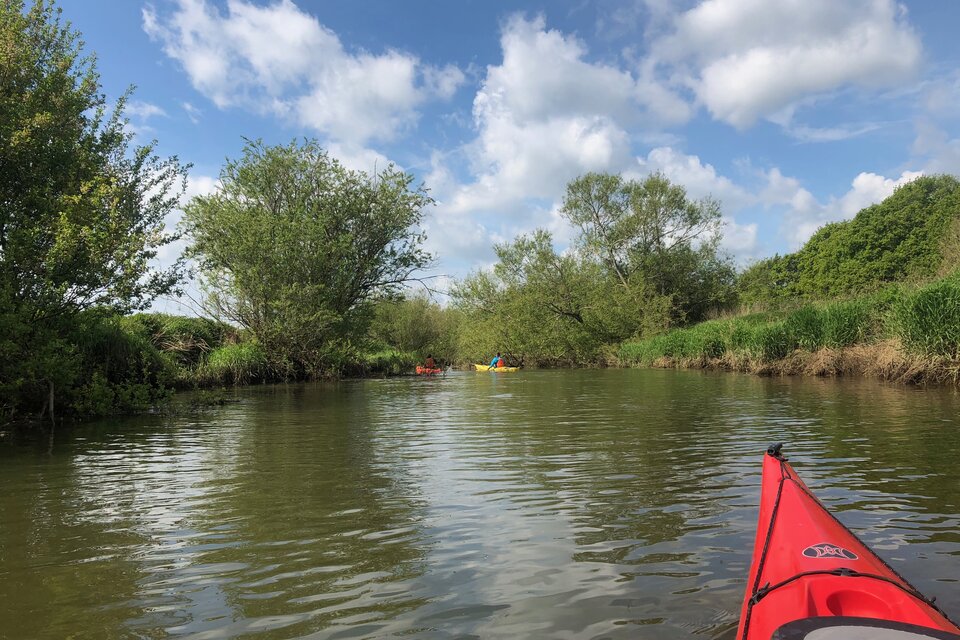 Arundel to Pulborough Kayak Tour - photo 14
