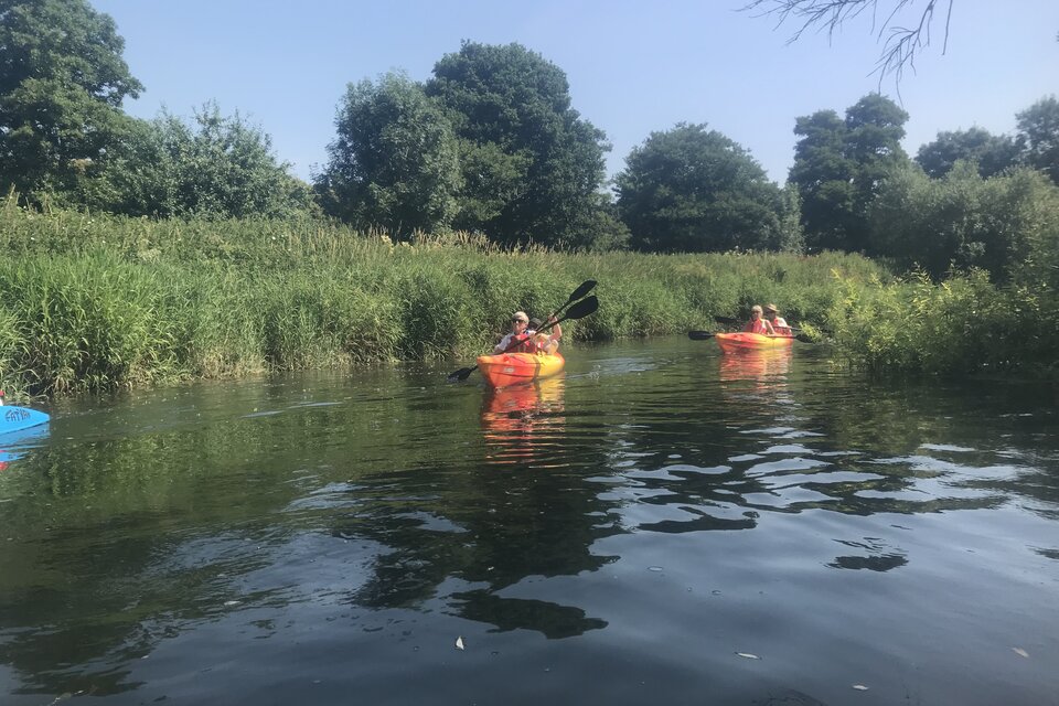 Arundel to Pulborough Kayak Tour - photo 8
