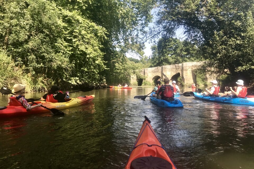 River Arun Tour - Pulborough - photo 8