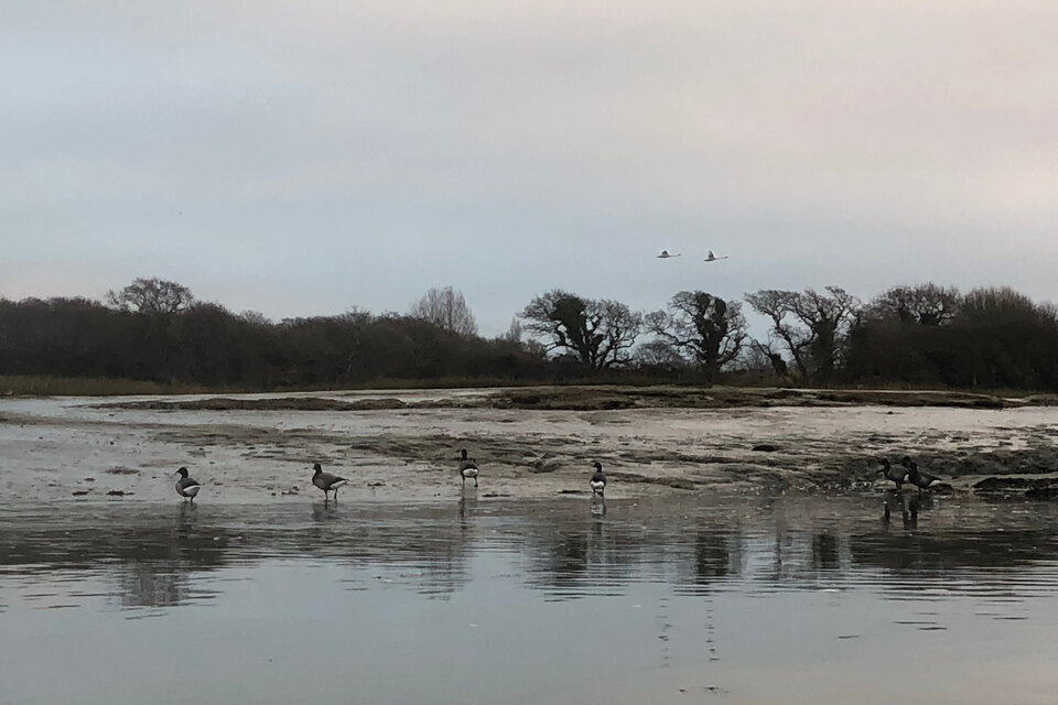 Birdwatch Paddle - photo 1