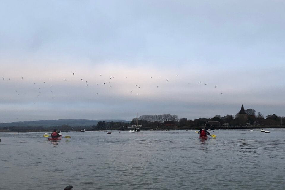 Birdwatch Paddle - photo 7