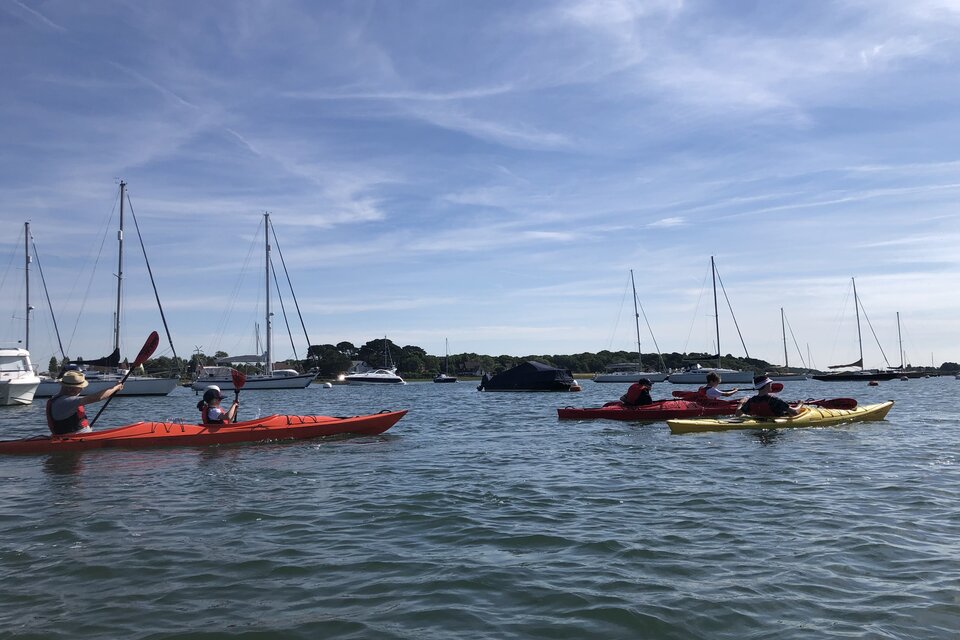 Seal Watching Kayak Tour - photo 4
